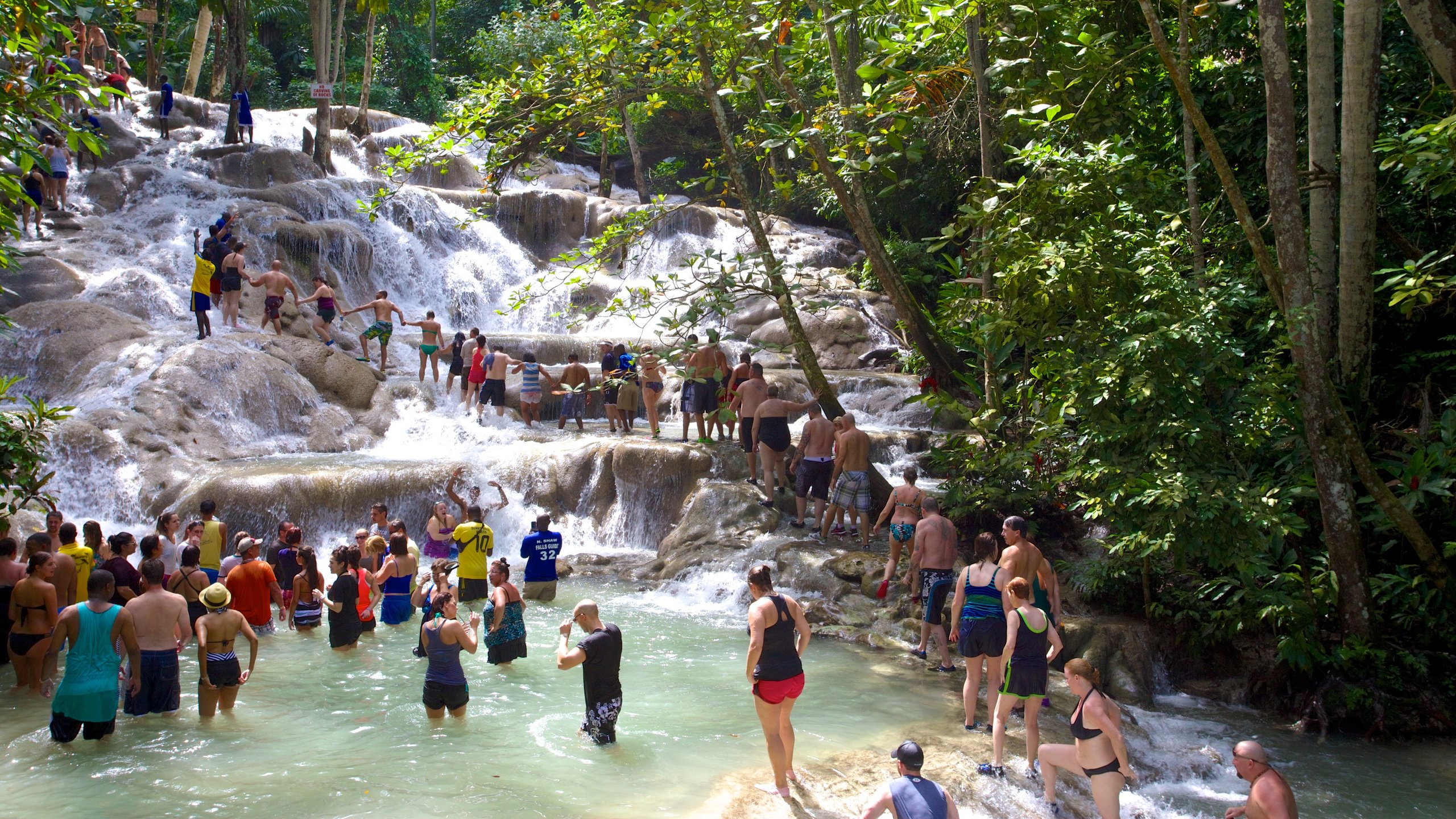 Air Terjun Sungai Dunns