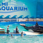 Miami Seaquarium