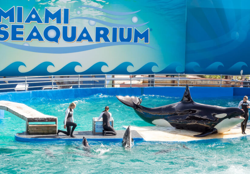 Miami Seaquarium