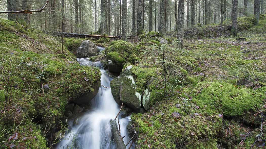 Nuuksio National Park