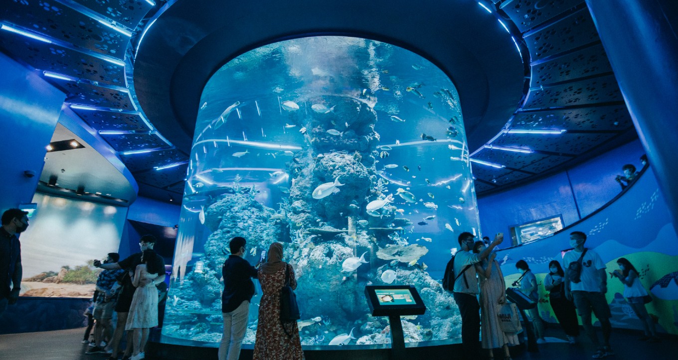 S.E.A. Aquarium: Menyelami Keajaiban Dunia Bawah Laut di Singapura