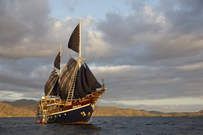 kapal-pesiar-aurora-pesona-kapal-mewah-di-lautan-dunia