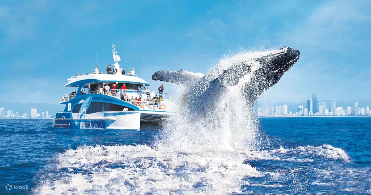 kapal-pesiar-leisure-world-destinasi-wisata-laut-yang-menarik
